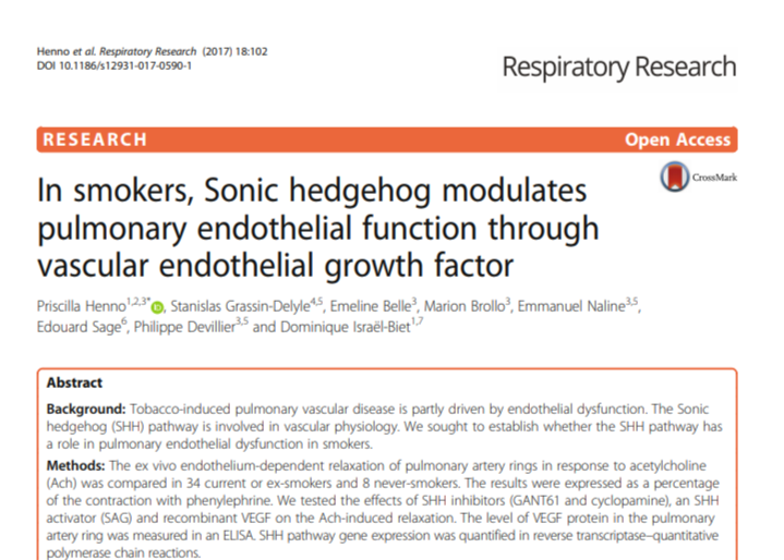 In smokers, Sonic hedgehog modulates pulmonary endothelial function through vascular